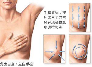 乳房自查